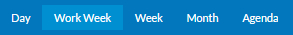 Select Calendar View Toolbar