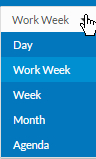 Select Calendar View Dropdown